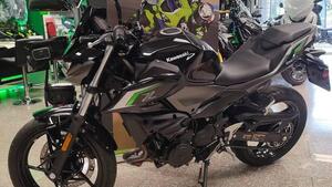 Kawasaki Z 500 (2024 - 26) 
