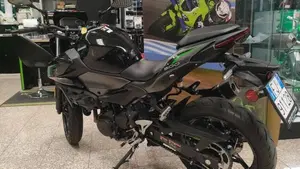 Kawasaki Z 500 (2024 - 26)  (4)