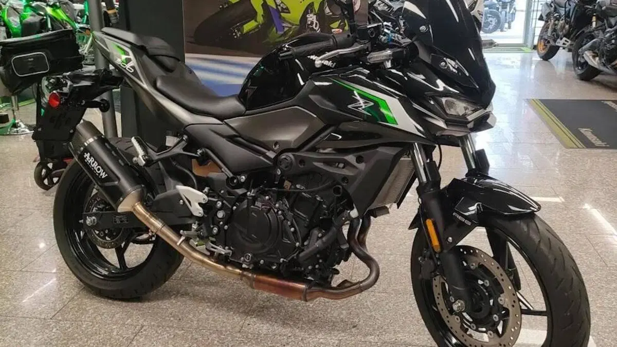 Kawasaki Z 500 (2024 - 26)  (5)