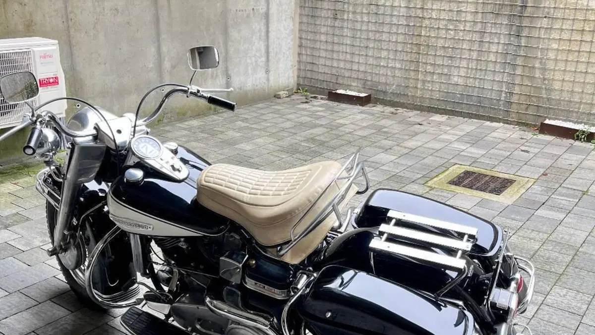 Harley-Davidson   (7)