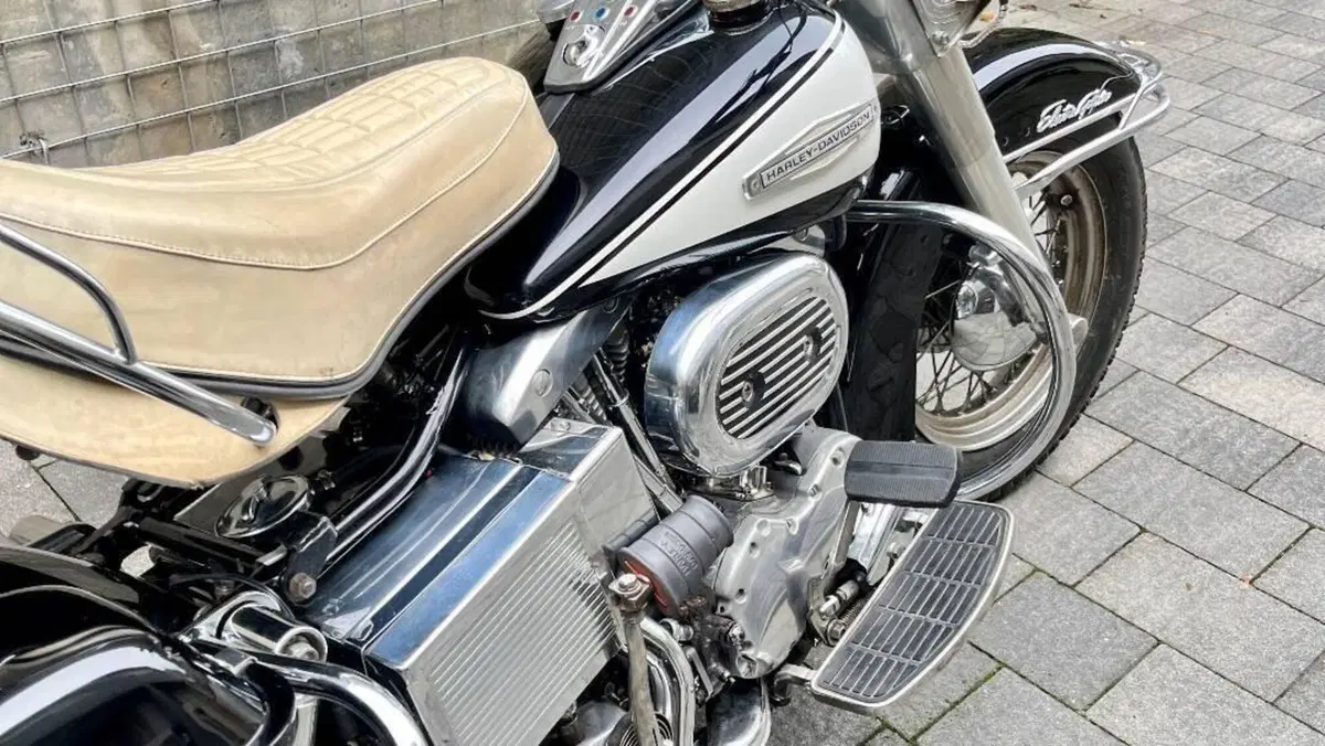 Harley-Davidson   (8)