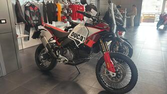 Ducati DesertX Rally (2024 - 25) usata