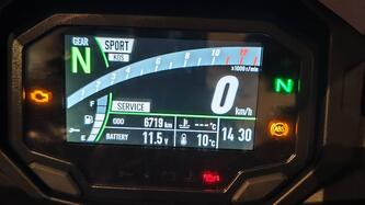 Kawasaki Ninja 1000 SX Performance (2021 - 24)