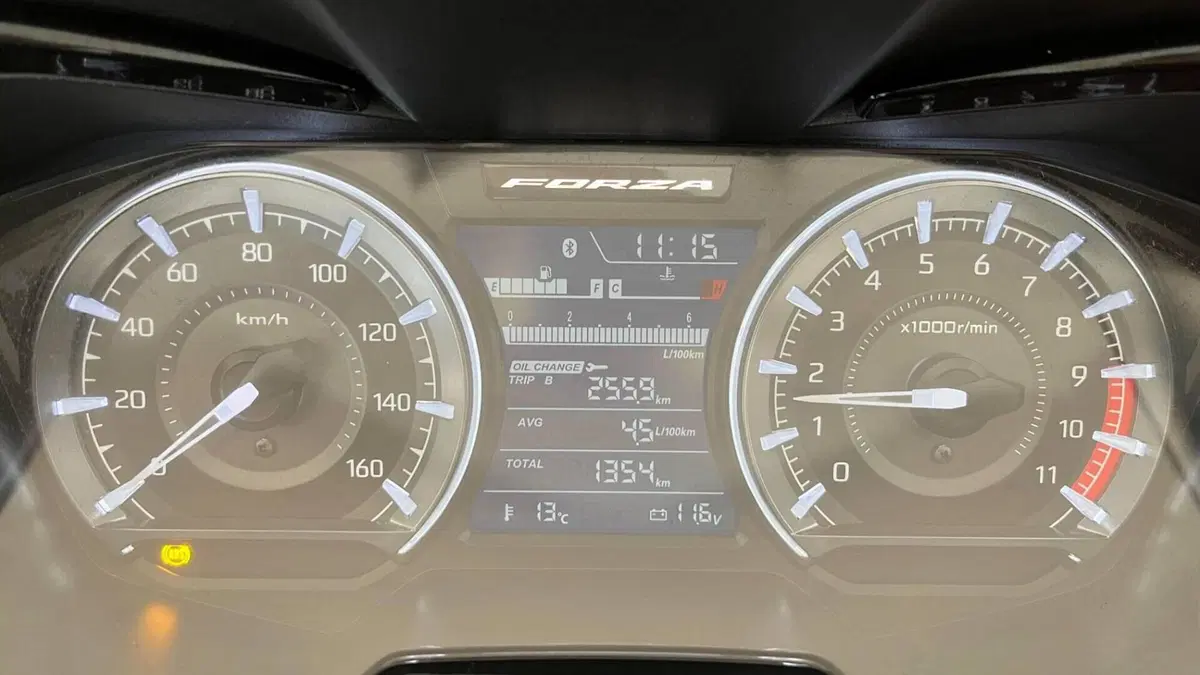 Honda Forza 350 Deluxe (2022 - 24)  (2)