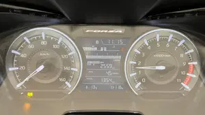 Honda Forza 350 Deluxe (2022 - 24)  (2)