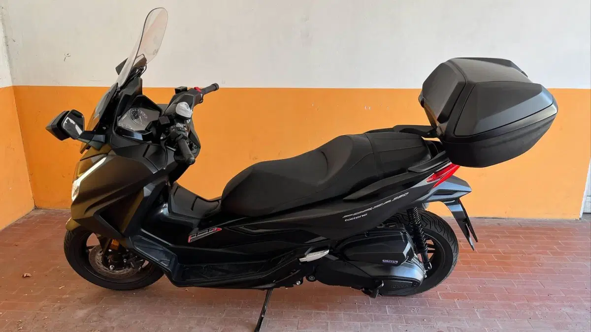 Honda Forza 350 Deluxe (2022 - 24)  (3)