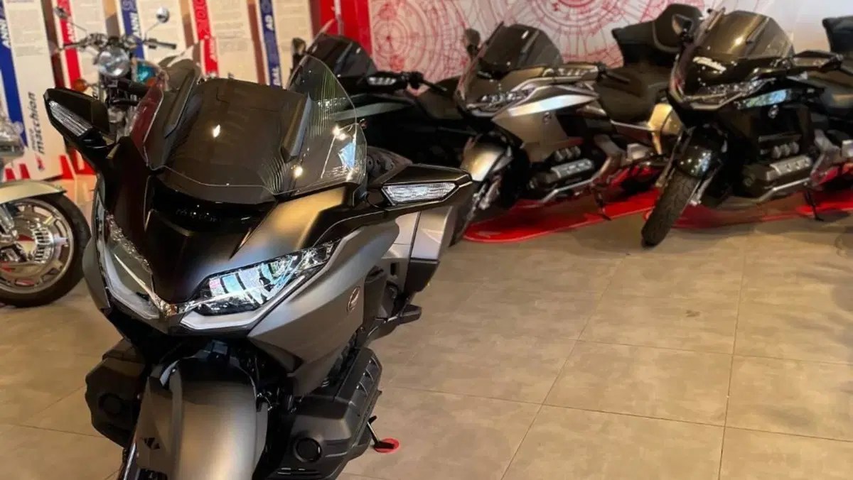 Honda GL 1800 Gold Wing 50° Anniversario (2025 - 26)  (6)