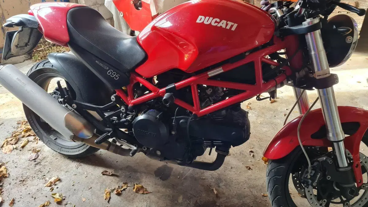 Ducati Monster 695 (2006 - 08) 