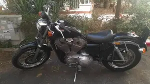Harley-Davidson   (2)