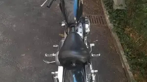 Harley-Davidson   (6)