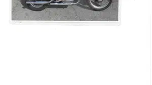 Harley-Davidson   (8)
