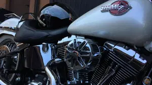 Harley-Davidson 1584 Deluxe (2007 - 08) - FLSTN 