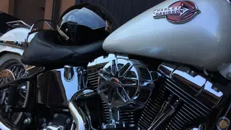 Harley-Davidson 1584 Deluxe (2007 - 08) - FLSTN usata