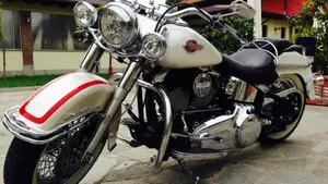 Harley-Davidson 1584 Deluxe (2007 - 08) - FLSTN  (8)