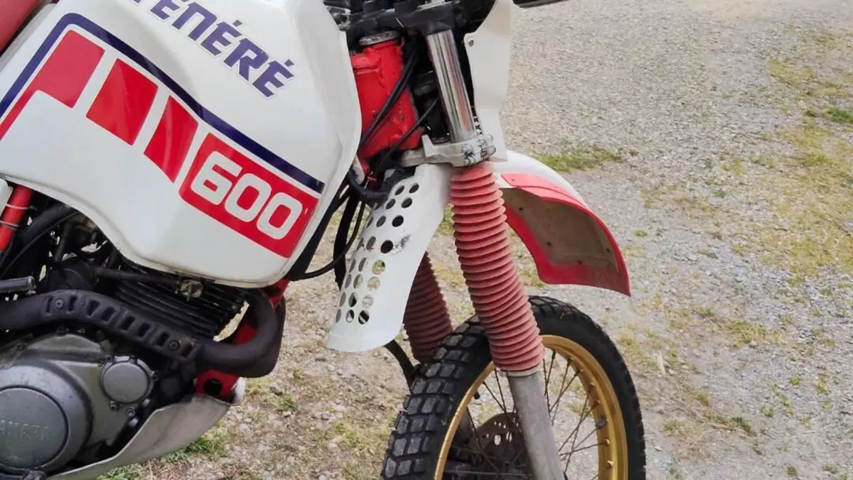 Yamaha XT 600 (1984 - 98)  (20)