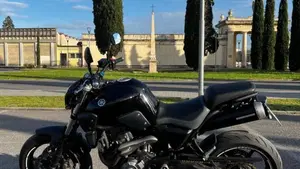 Yamaha MT-03 (2006 - 14)  (2)