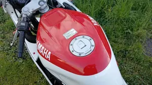 Yamaha   (7)