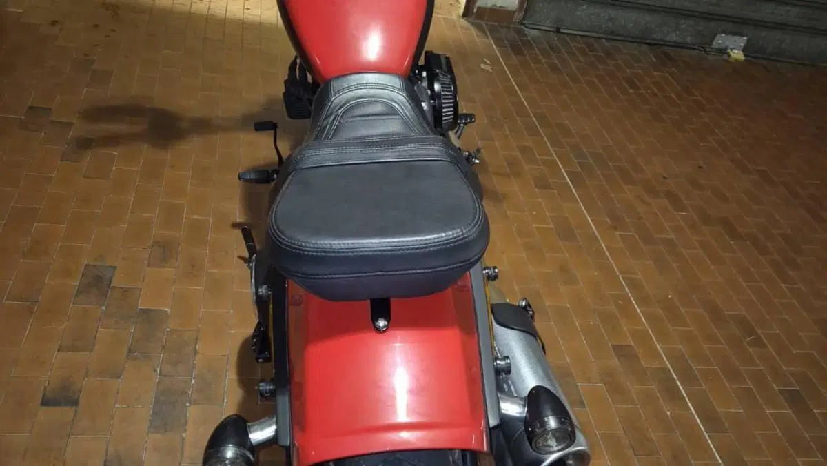 Harley-Davidson Fat Bob 114 (2021 - 25)  (3)