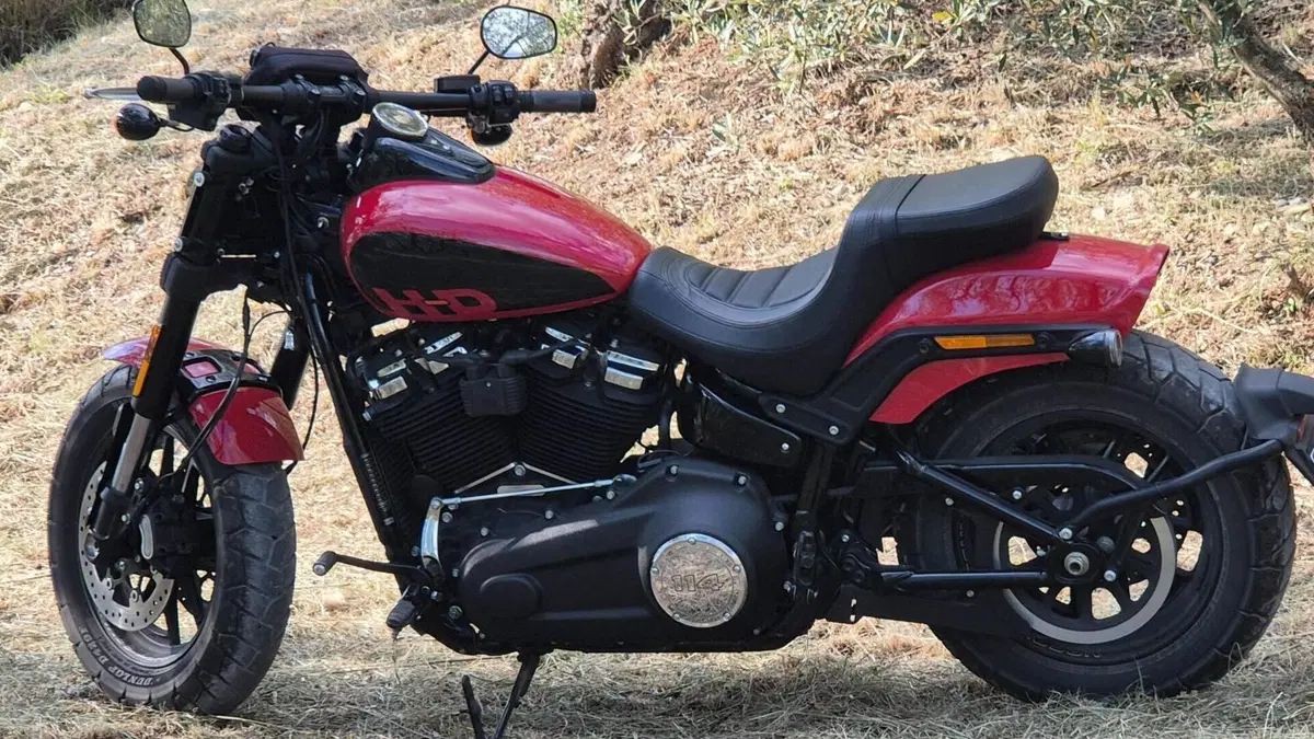 Harley-Davidson Fat Bob 114 (2021 - 25)  (5)