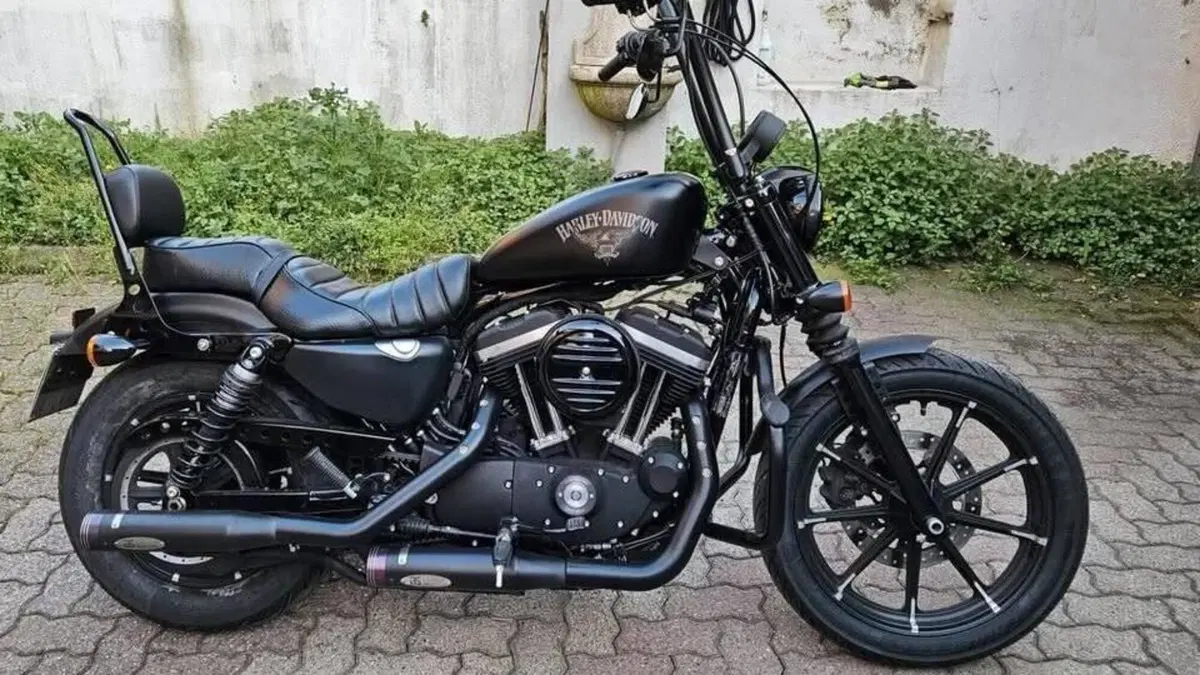 Harley-Davidson 883 Iron (2017 - 20) - XL 883N  (3)