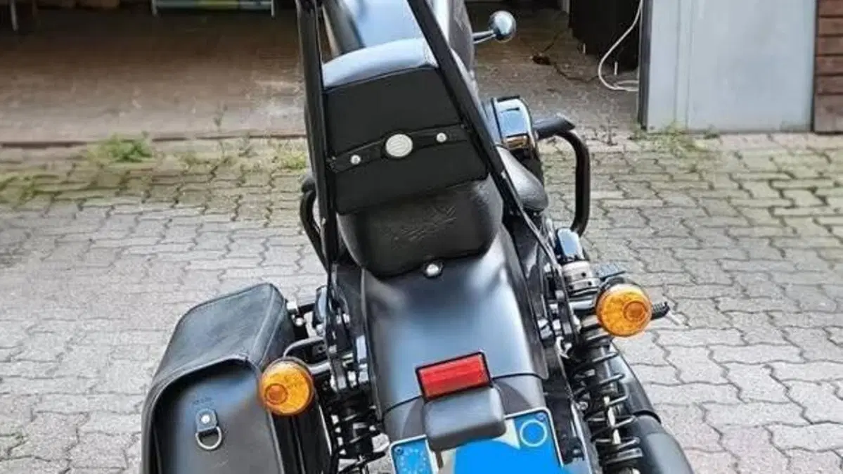 Harley-Davidson 883 Iron (2017 - 20) - XL 883N  (4)