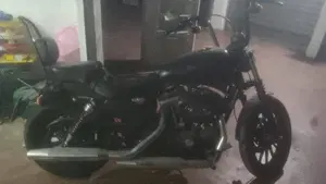Harley-Davidson 883 Iron (2009 - 11) - XL 883N  (4)