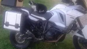 KTM 1290 Super Adventure T (2017)  (6)