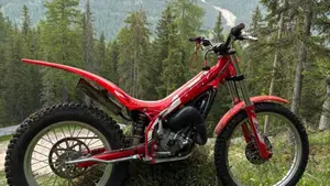 Betamotor Evo 80 Senior (2025 - 26) 