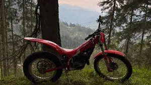 Betamotor Evo 80 Senior (2025 - 26)  (2)