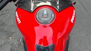 Ducati Streetfighter V4 1100 S (2020)  (8)