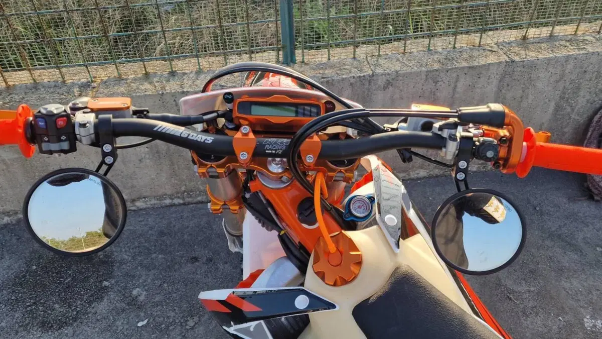 KTM 250 EXC TPI Six Days (2019)  (7)