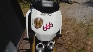Honda MSX 125 (2013 - 15)  (2)