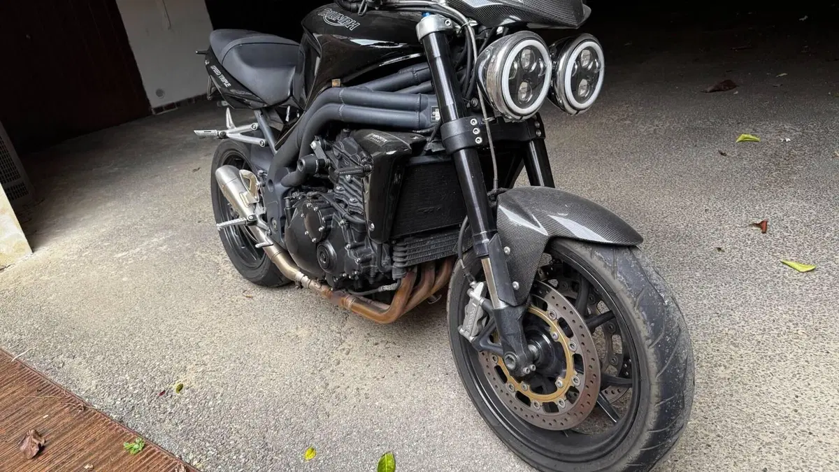Triumph Speed Triple 1050 (2005 - 11)  (2)