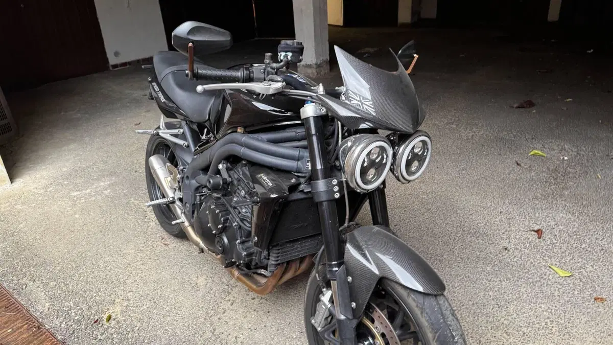 Triumph Speed Triple 1050 (2005 - 11)  (3)
