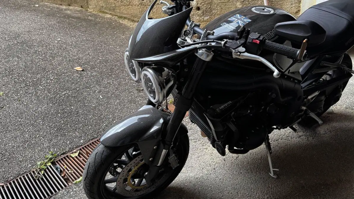 Triumph Speed Triple 1050 (2005 - 11)  (5)