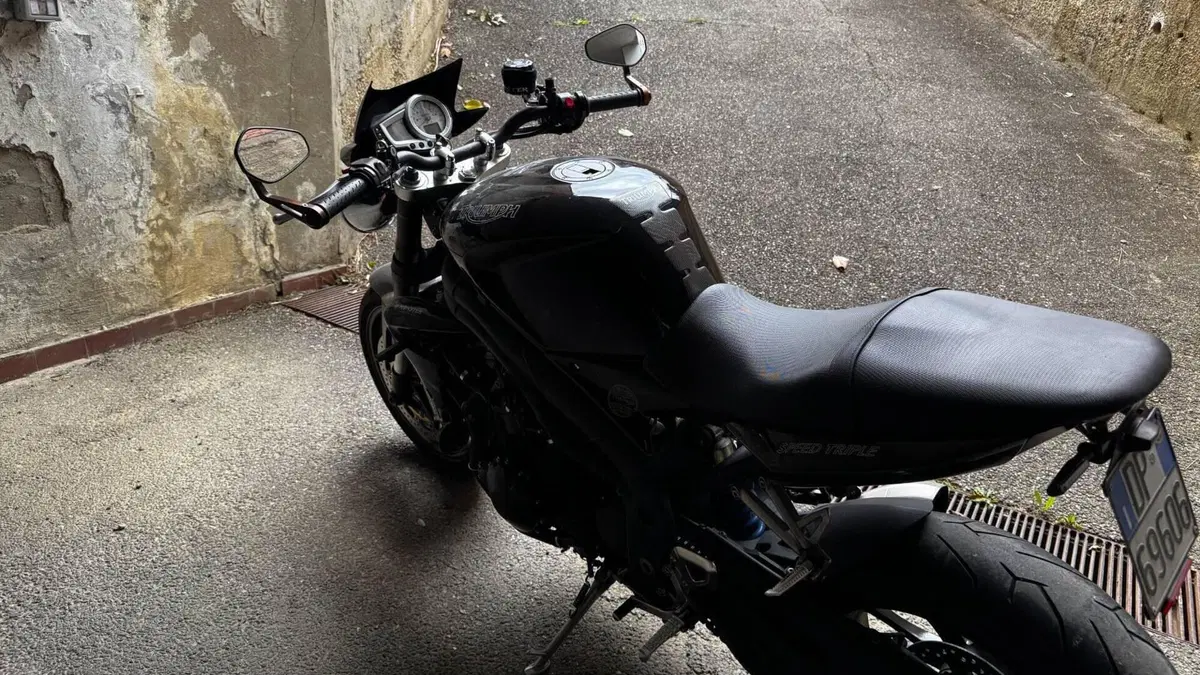 Triumph Speed Triple 1050 (2005 - 11)  (6)