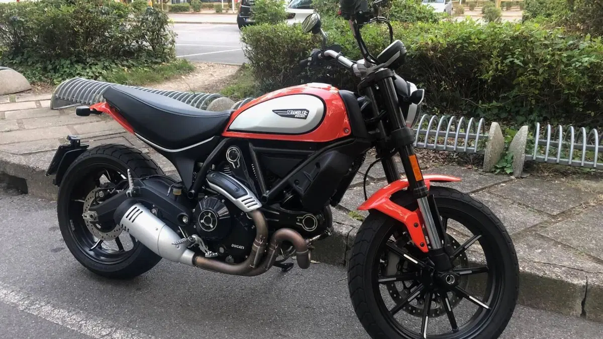 Ducati Scrambler 800 Icon (2017 - 20) 