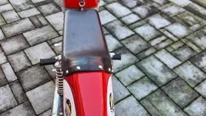 Morini   (2)