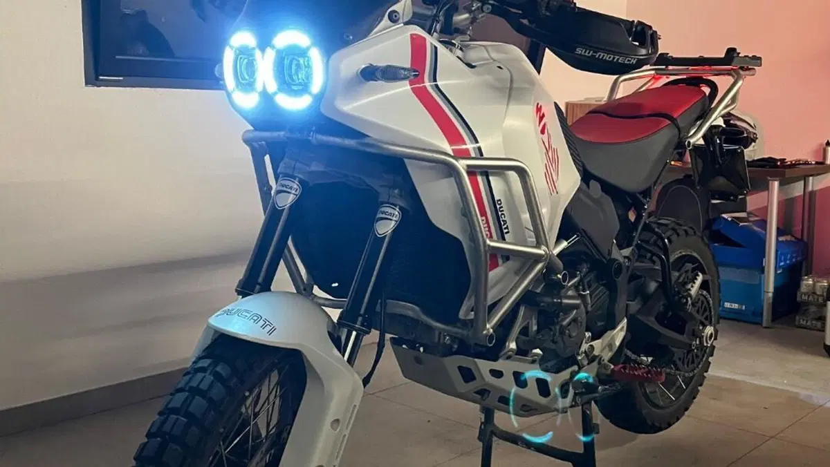 Ducati DesertX (2022 - 25) 