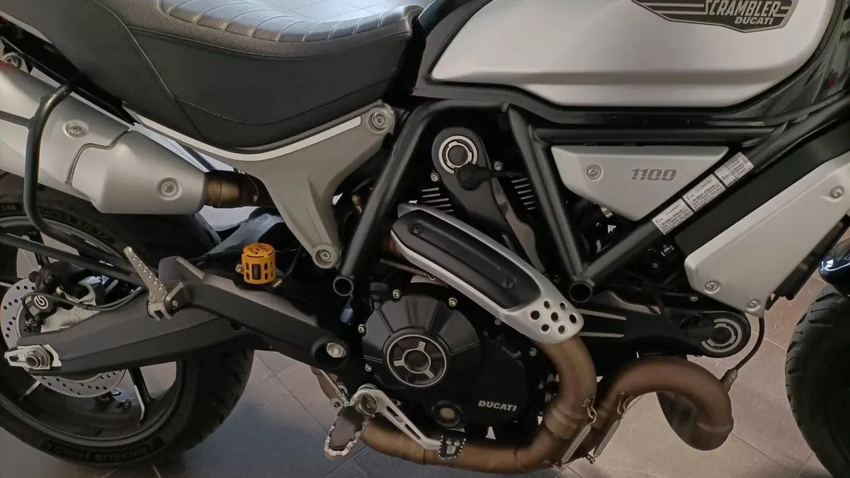 Ducati Scrambler 1100 (2018 - 20)  (8)