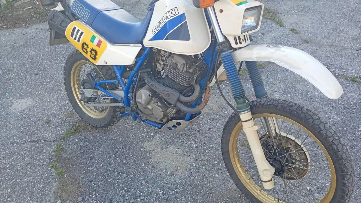 Suzuki   (2)