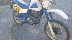 Suzuki   (2)