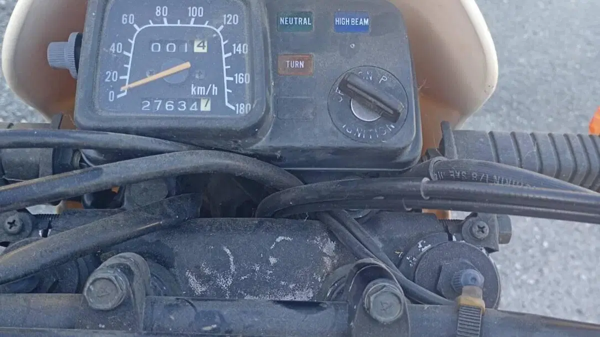 Suzuki   (5)