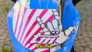 Tm Moto SMR 125 (2008 - 09)  (10)