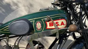 Bsa   (2)