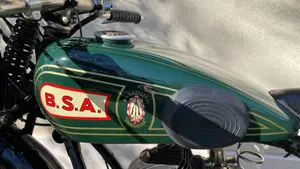Bsa   (3)