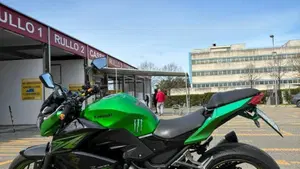 Kawasaki Z 300 ABS (2015 - 16)  (2)