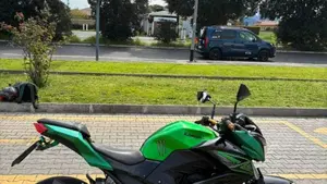 Kawasaki Z 300 ABS (2015 - 16)  (3)