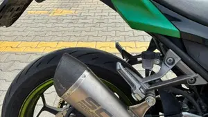Kawasaki Z 300 ABS (2015 - 16)  (4)