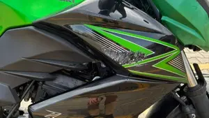 Kawasaki Z 300 ABS (2015 - 16)  (5)